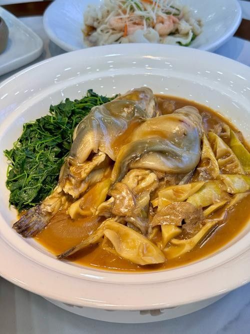 鎮(zhèn)江龍魚專賣店