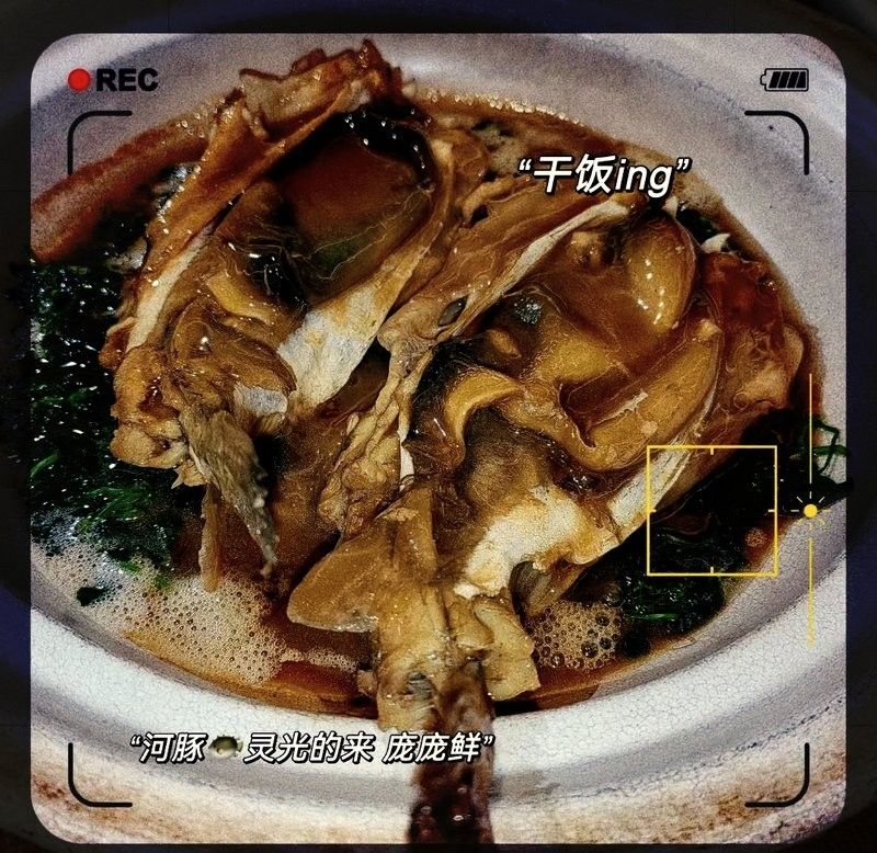 鎮(zhèn)江龍魚專賣店