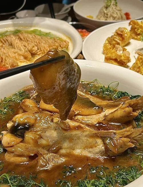 鎮(zhèn)江龍魚專賣店