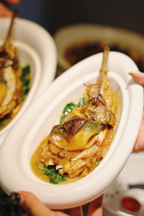 鎮(zhèn)江龍魚專賣店