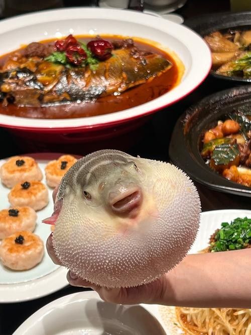 鎮(zhèn)江龍魚專賣店