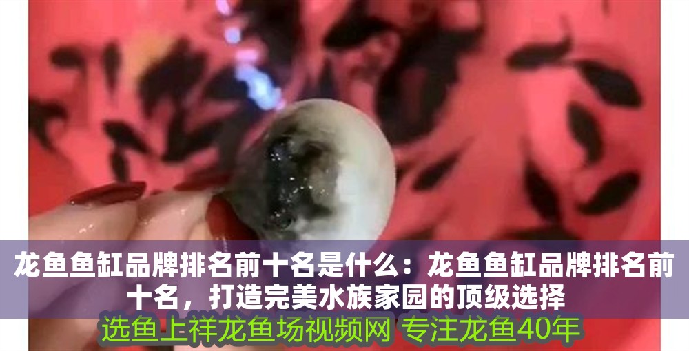 龍魚魚缸品牌排名前十名是什么：龍魚魚缸品牌排名前十名，打造完美水族家園的頂級選擇