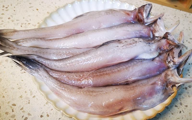 海鮮小龍魚是什么魚圖片