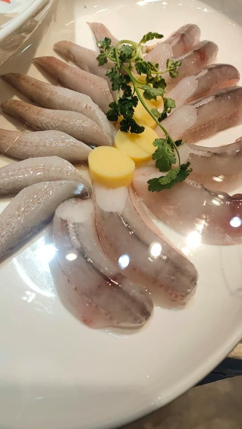 海鮮小龍魚是什么魚圖片