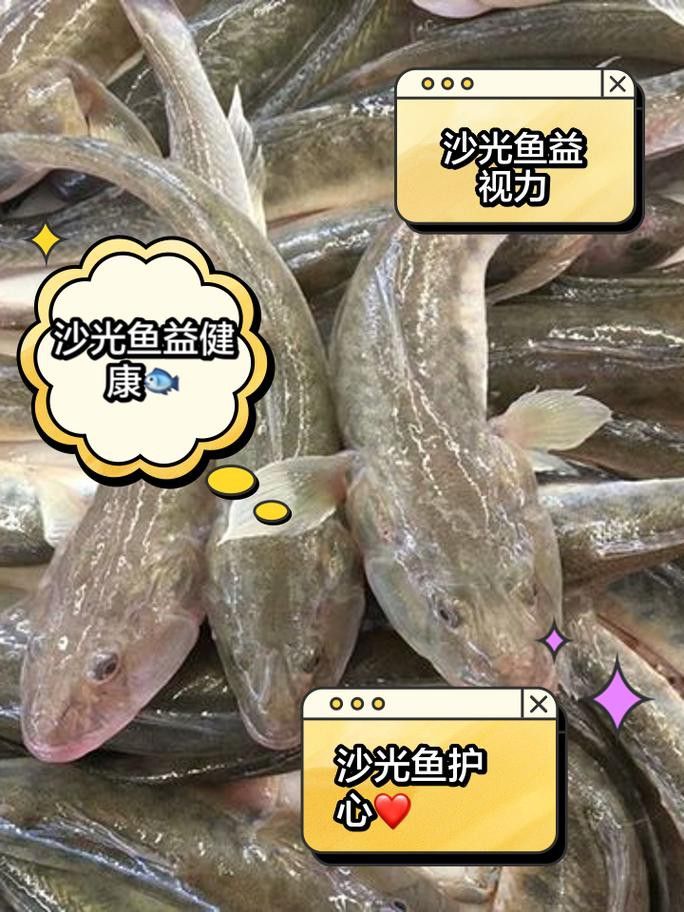 海鮮小龍魚是什么魚圖片