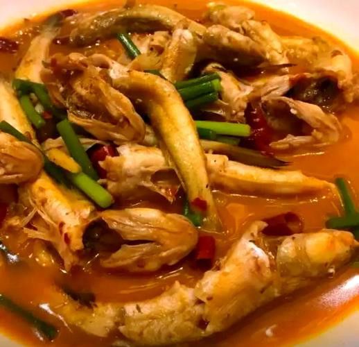 海鮮小龍魚是什么魚圖片