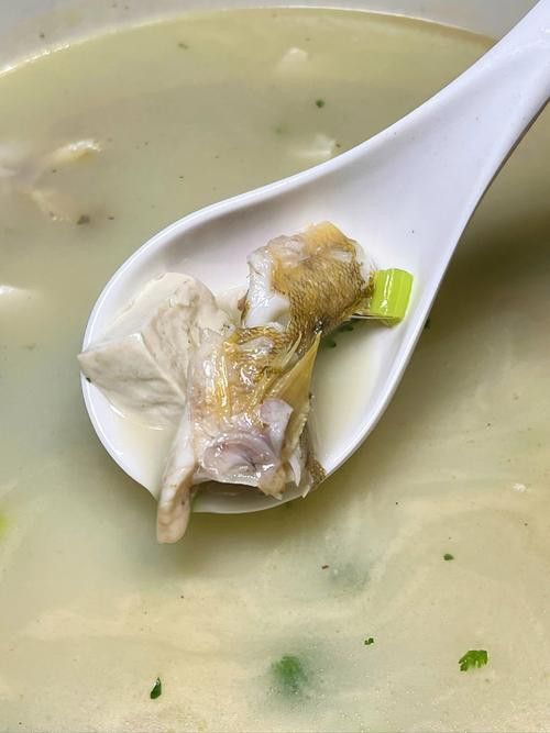 海鮮小龍魚是什么魚圖片