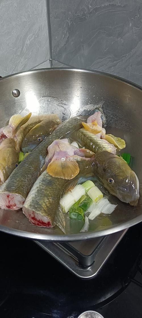 海鮮小龍魚是什么魚圖片