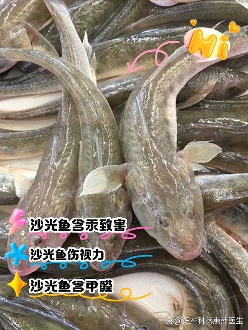 海鮮小龍魚是什么魚圖片