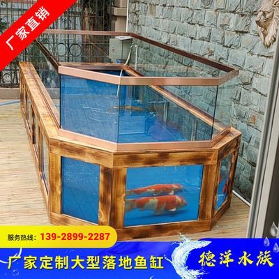 養(yǎng)紅龍魚有什么寓意和象征：養(yǎng)紅龍魚在中國(guó)文化中具有深刻寓意和象征意義