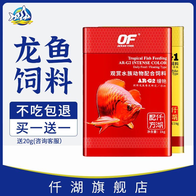 仟湖紅龍魚怎么樣：\"仟湖紅龍魚怎么樣