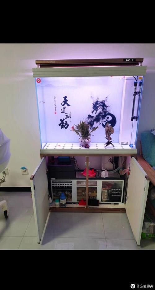 有沒(méi)有免費(fèi)的龍魚(yú)缸壁紙？ 有沒(méi)有免費(fèi)的龍魚(yú)缸壁紙？ 龍魚(yú)百科 第11張