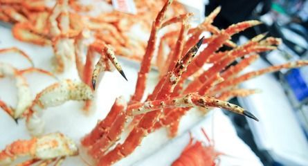 最大金龍魚有多大（金龍魚的尺寸可以從50-60厘米到1米不等）