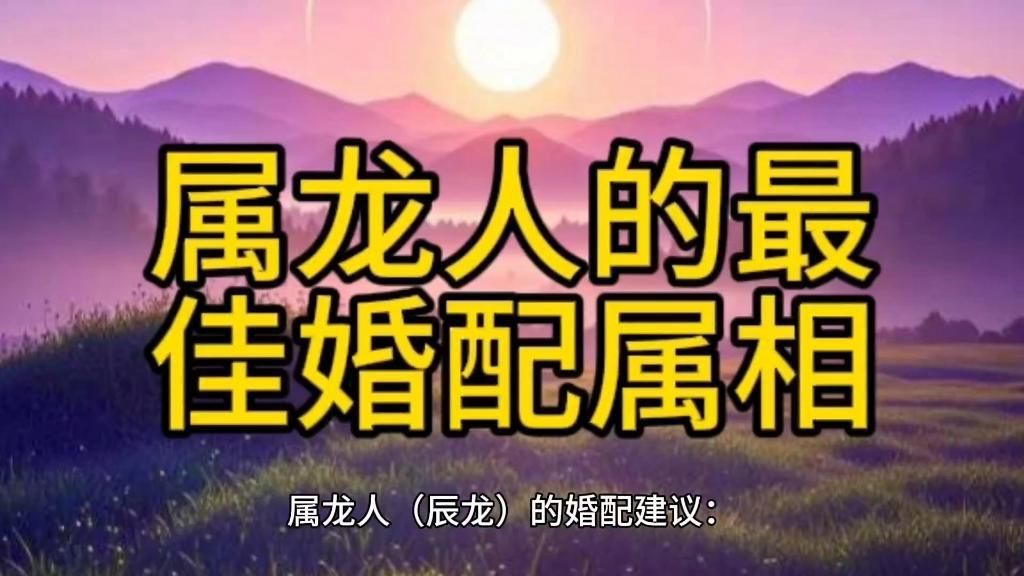 龍最合的四個屬相 龍最合的四個屬相 龍魚百科 第2張