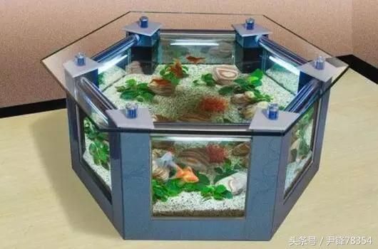 龍魚吃的肚子鼓鼓的怎么辦：龍魚肚子鼓脹怎么辦 龍魚吃的肚子鼓鼓的怎么辦：龍魚肚子鼓脹怎么辦 龍魚百科 第1張