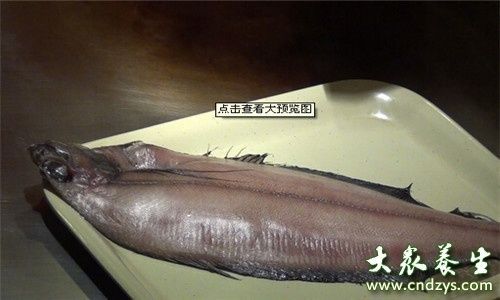 龍魚不想養了怎么保存：不想養的龍魚怎么保存