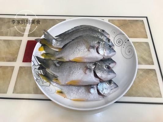 龍魚不想養了怎么保存：不想養的龍魚怎么保存