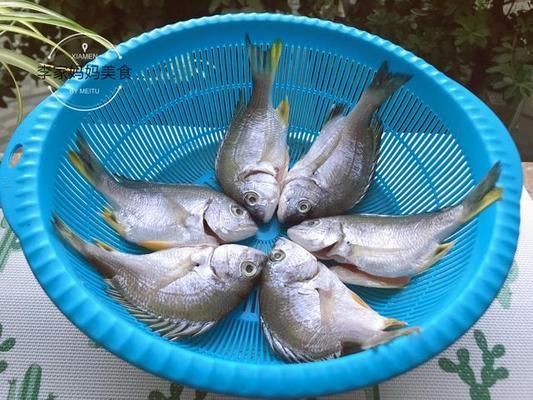 龍魚不想養了怎么保存：不想養的龍魚怎么保存