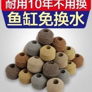 龍魚(yú)放什么過(guò)濾材料（龍魚(yú)養(yǎng)殖中過(guò)濾材料的選擇指南）