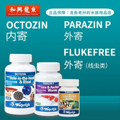 龍魚外寄,內寄,腮寄檢疫順序（在進行龍魚的檢疫過程中，正確的檢疫順序對于確保龍魚的健康至關重要）