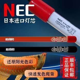 紅龍魚用T8還是T5燈管:如何選擇紅龍魚的燈管 龍魚百科 第3張 紅龍魚用T8還是T5燈管:如何選擇紅龍魚的燈管 紅龍魚用T8還是T5燈管:如何選擇紅龍魚的燈管 龍魚百科 第3張