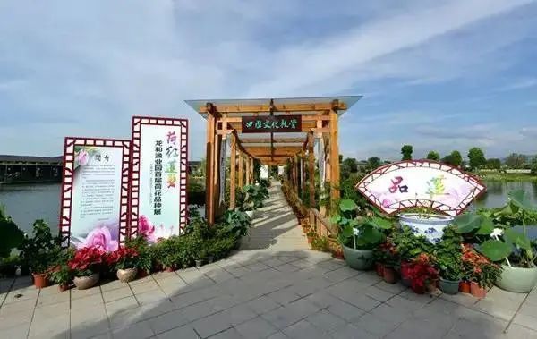 龍游龍和漁業園老板背景故事 龍魚百科 第1張 龍游龍和漁業園老板背景故事 龍游龍和漁業園老板背景故事 龍魚百科 第1張