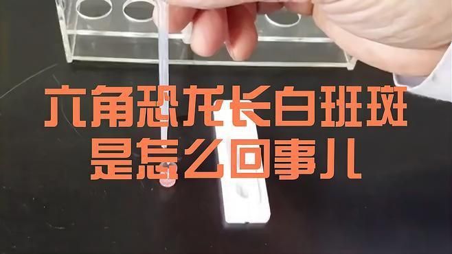 如何預防六角龍魚的白斑病？
