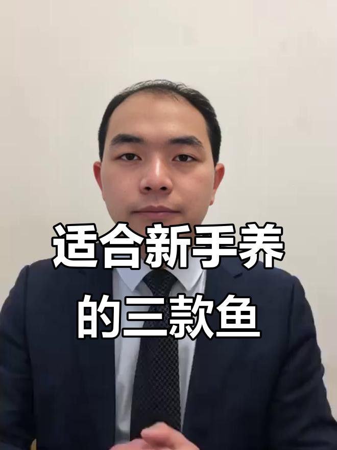 給我推薦一些適合新手混養的魚類 給我推薦一些適合新手混養的魚類 龍魚百科 第7張