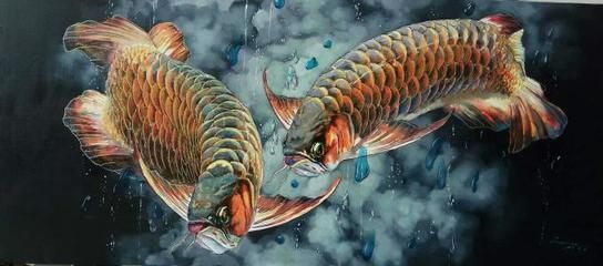 龍魚之巔手機(jī)版官網(wǎng)：龍魚之巔手機(jī)版官網(wǎng)（龍巔魚鄰）應(yīng)用具備以下特點(diǎn) 龍魚之巔手機(jī)版官網(wǎng)：龍魚之巔手機(jī)版官網(wǎng)（龍巔魚鄰）應(yīng)用具備以下特點(diǎn) 龍魚百科 第5張
