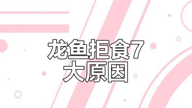 龍魚撞缸后不吃東西怎么辦？