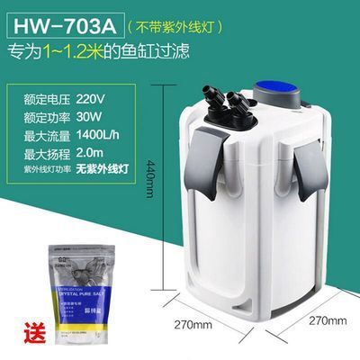 紅龍魚活多少年就死了呢圖片大全（紅龍魚活多少年就死了呢圖片大全視頻）