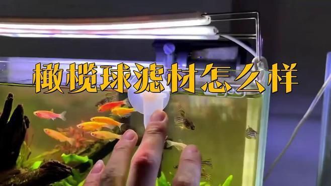 馬印橄欖球濾材優缺點