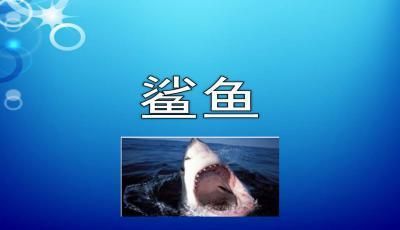 哪種魚好養不容易死：什么魚最好養不容易死？龍魚好養嗎？
