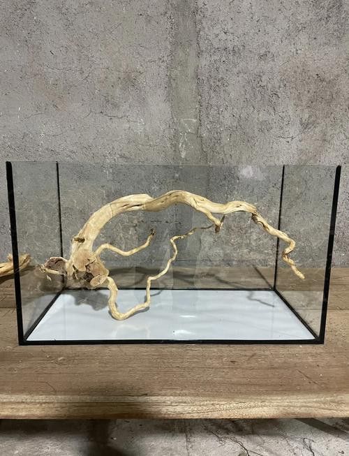 紅龍魚缸造景圖片欣賞大全