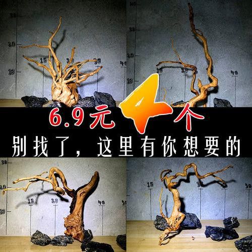 紅龍魚缸造景圖片欣賞大全