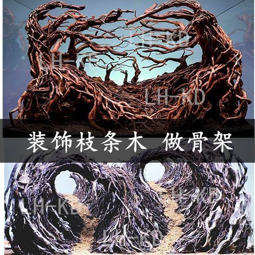 紅龍魚缸造景圖片欣賞大全