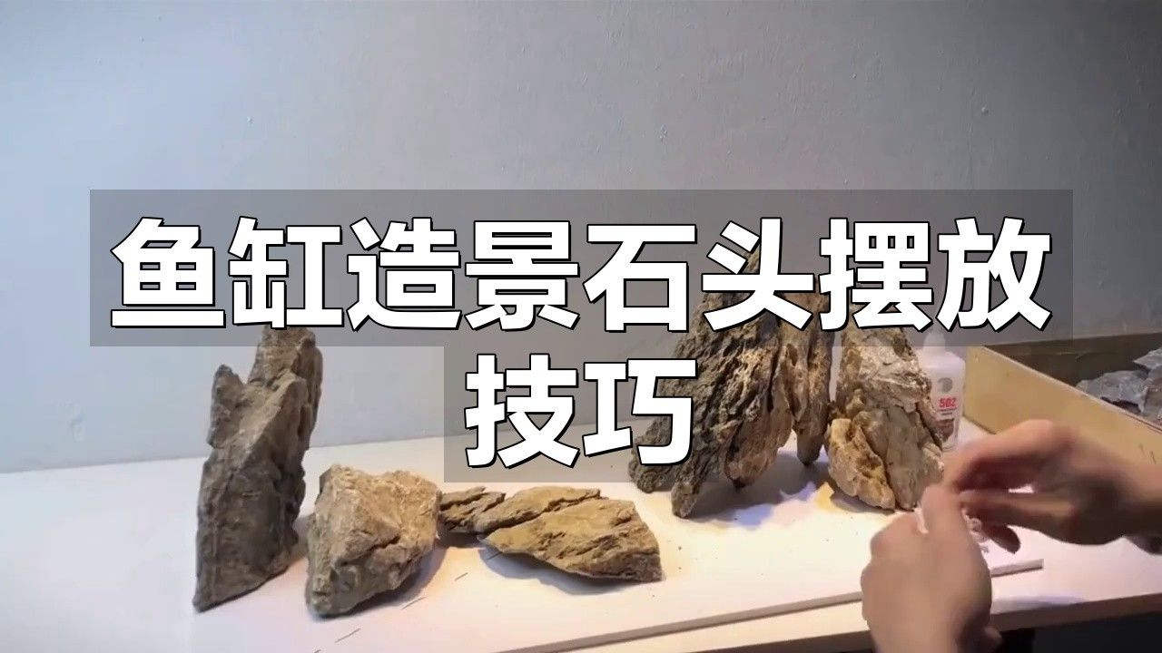 紅龍魚缸造景圖片欣賞大全