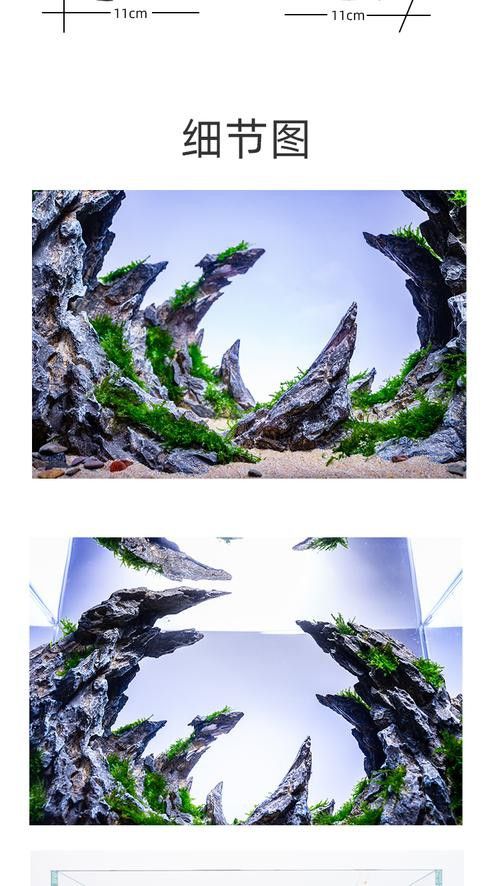 紅龍魚缸造景圖片欣賞大全