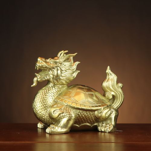 龍龜的頭朝向正確圖