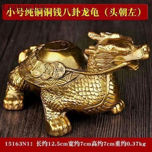 龍龜的頭朝向正確圖