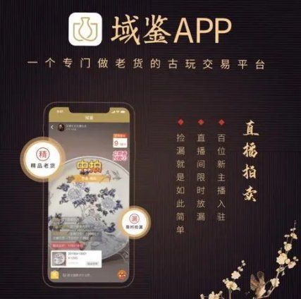 古玩鑒定服務有哪些平臺 古玩鑒定服務有哪些平臺 龍魚百科 第1張