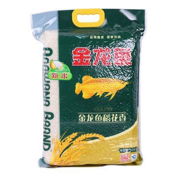 金龍魚吃什么食料好吃：金龍魚吃什么食料好吃金龍魚吃什么食料好吃 金龍魚吃什么食料好吃：金龍魚吃什么食料好吃金龍魚吃什么食料好吃 龍魚百科 第2張