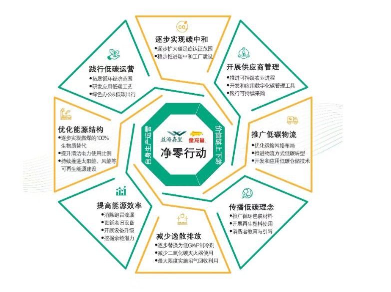 金龍魚如何優化能源結構？