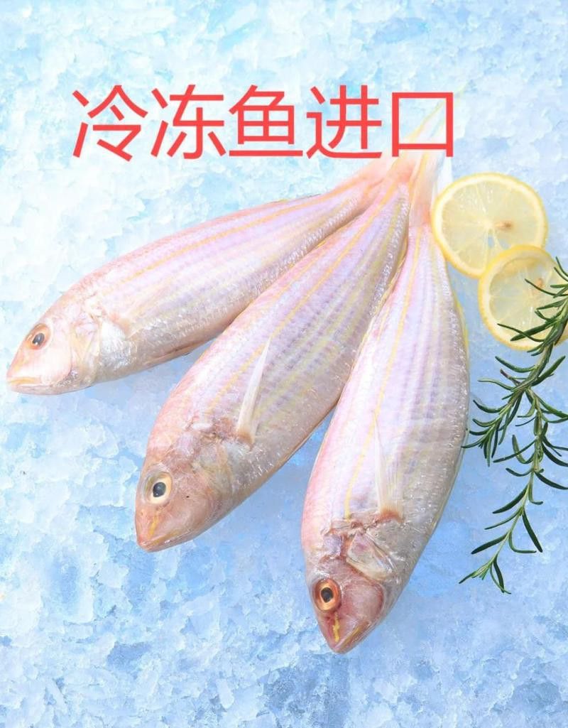 進口龍魚需要哪些手續文件？