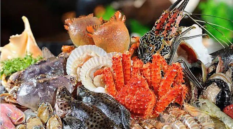 進口龍魚需要哪些手續文件？