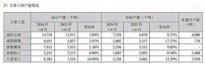 金頭過背金龍魚2024年最新消息