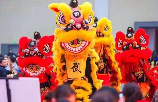 風水魚銀龍魚養幾條好（銀龍魚養殖風水講究,銀龍魚魚缸尺寸建議）