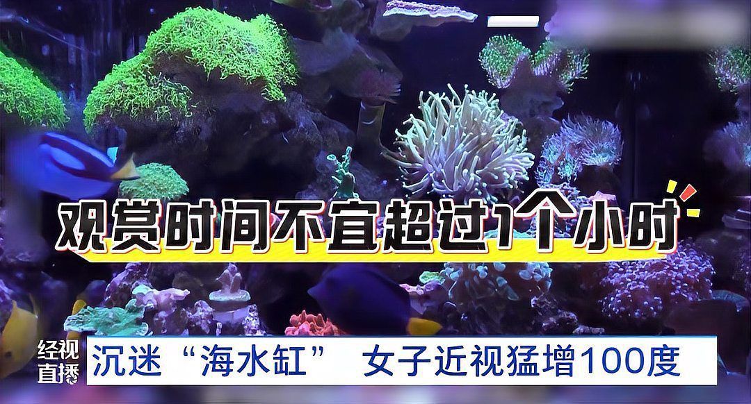 馬印魚缸燈的害處