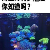 馬印魚缸燈的害處