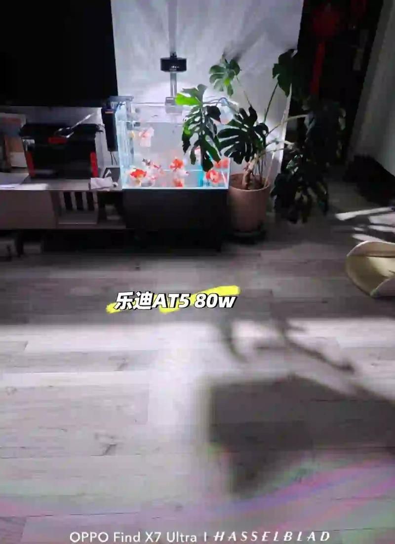 馬印魚缸燈的害處